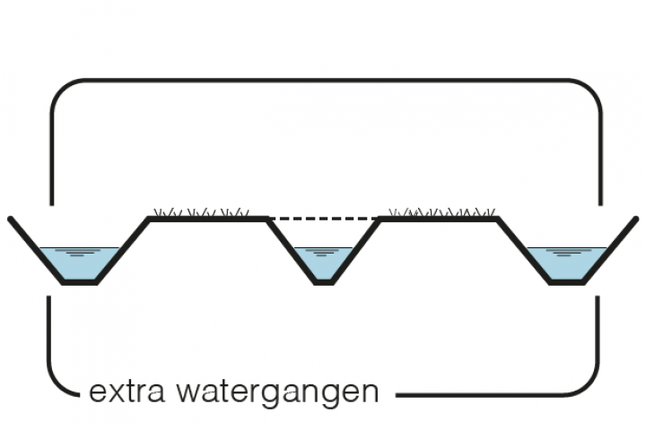 Maatregel 12 Extra watergangen